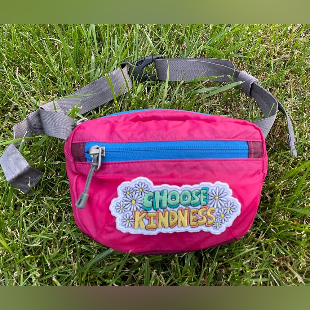 Patagonia Fanny Hip Pack Bag